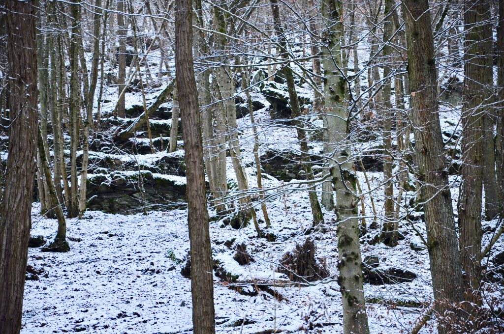 Weinbergslage am Eichenauer Berg