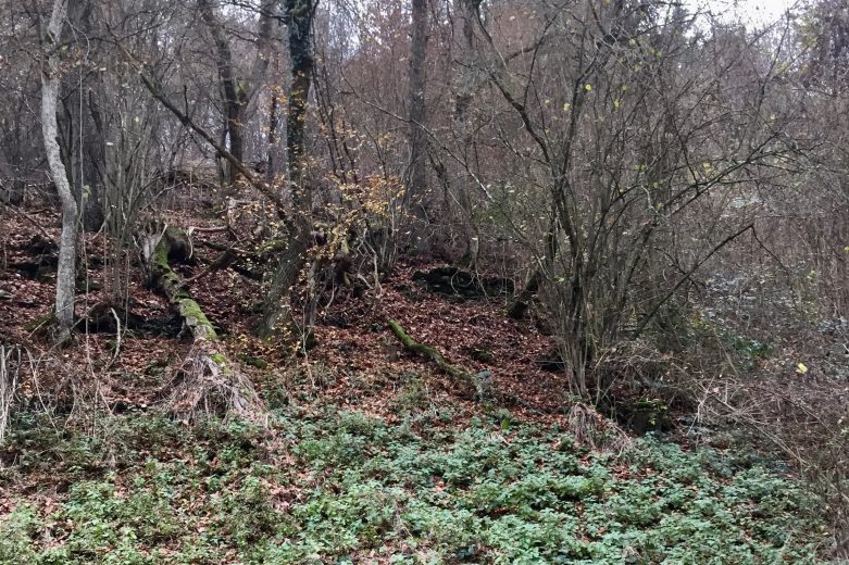 Fragmente von Weinbergsmauern am Fuße des Auberges