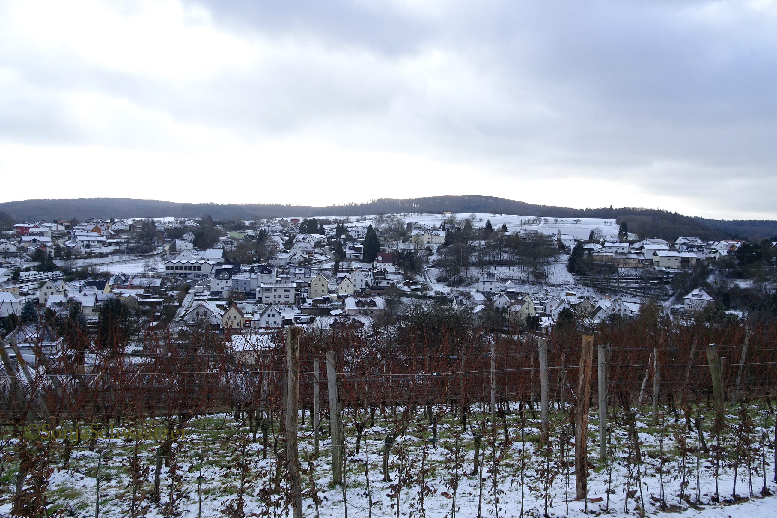 Tiefenbacher Kleeberg