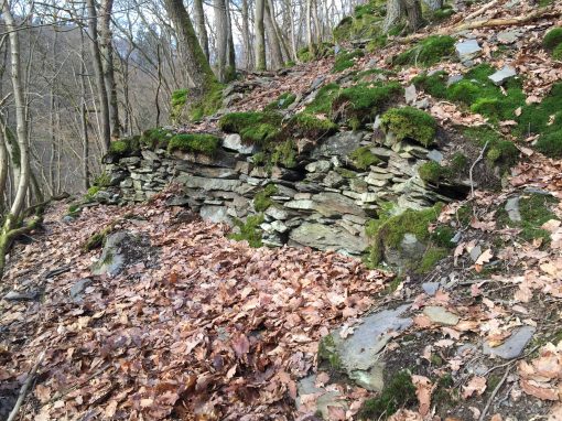 Mauerrest am Langeberg (Gem. Dörnberg)