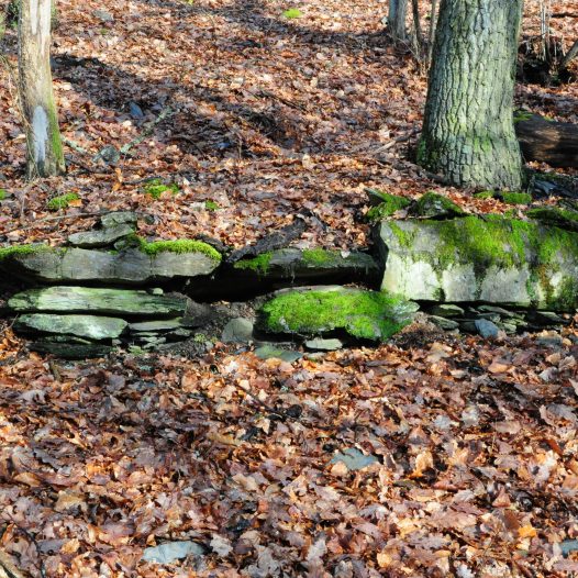 Mauerrest am Langeberg (Gem. Dörnberg)