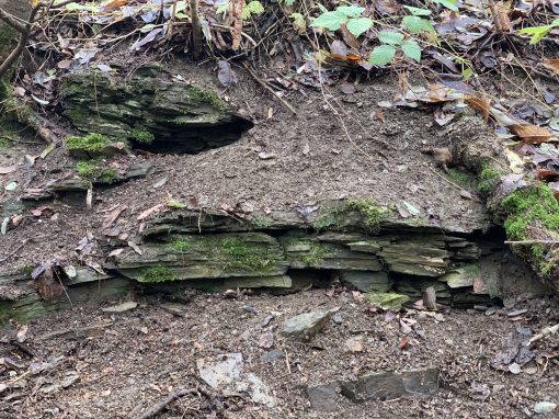 Mauerfragmente im Dörsbachgraben bei Freiendiez