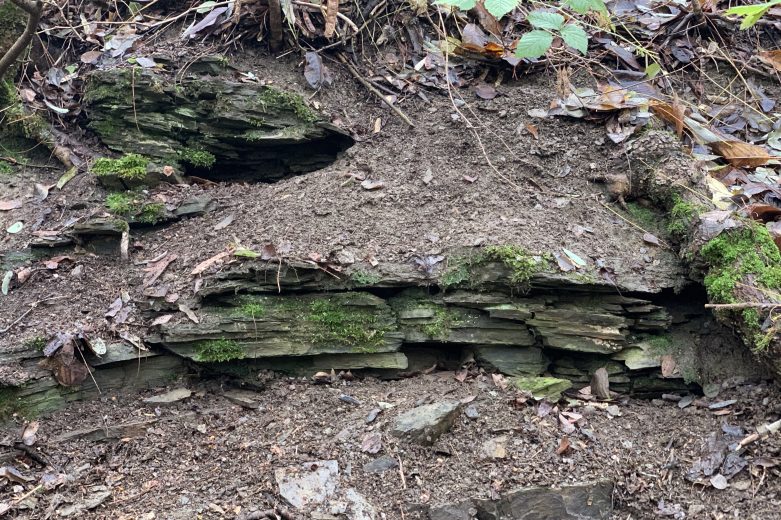 Mauerfragmente im Dörsbachgraben bei Freiendiez