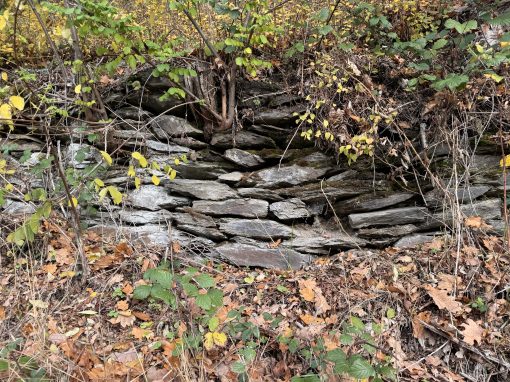 Reste einer Terrassenmauer bei Dörnberg-Hütte Foto: © 2023 Matthias C. Schmidt