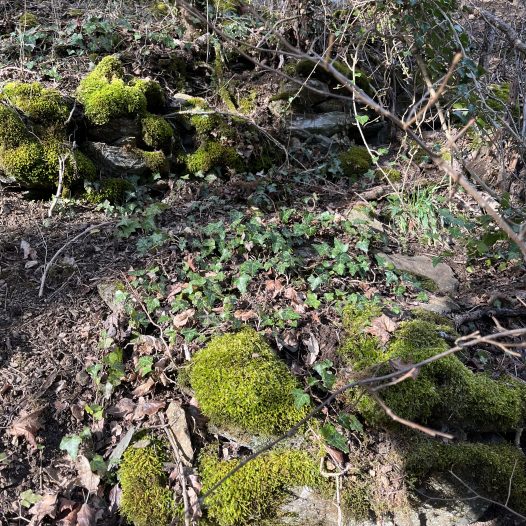 Balduinstein Lage Im Schwalbenstein Mauerfragmente © 2023 Weinbau an der Lahn / Matthias C. Schmidt Alle Rechte vorbehalten