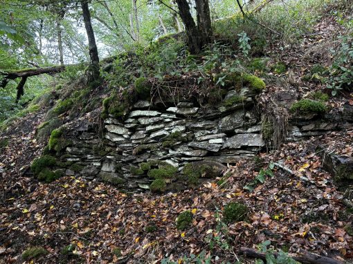 Weinbergsmauer im Schwarbachtal © 2025 Matthias C. Schmidt