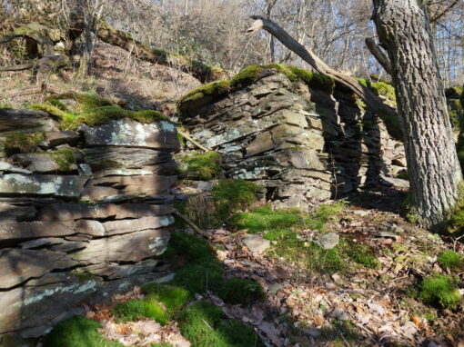 Mittelalterliche Weinbergsmauer in der der Lage Lickersgrube, Gemeinde Langenscheid Foto: © 2013 Matthias C. Schmidt