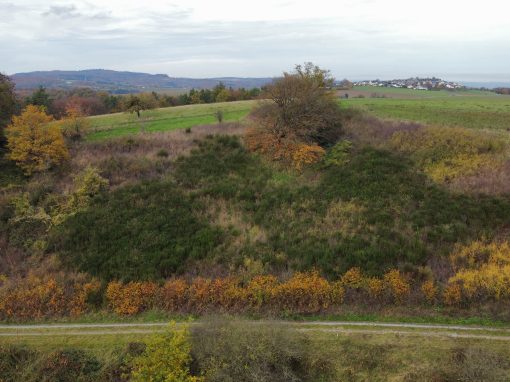 Bremberg, Flur Herres © 2025 Matthis C. Schmidt