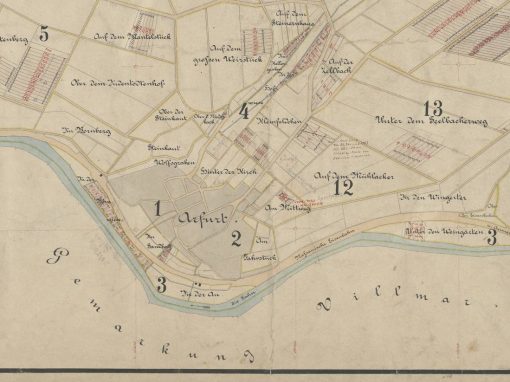 Ausschnitt aus der Übersichts-Karte von der Gemarkung Arfurt Quelle: HHStAW, 3011/1, 9895 V ©2025 Hessisches Hauptstaatsarchiv Wiesbaden. Alle Rechte Vorbehalten.